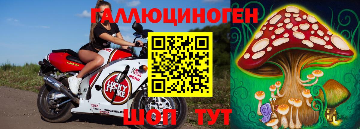 Псилоцибиновые грибы прущие грибы  Псилоцибиновые грибы Psilocybine cubensis  Феодосия  Вход с VPN 