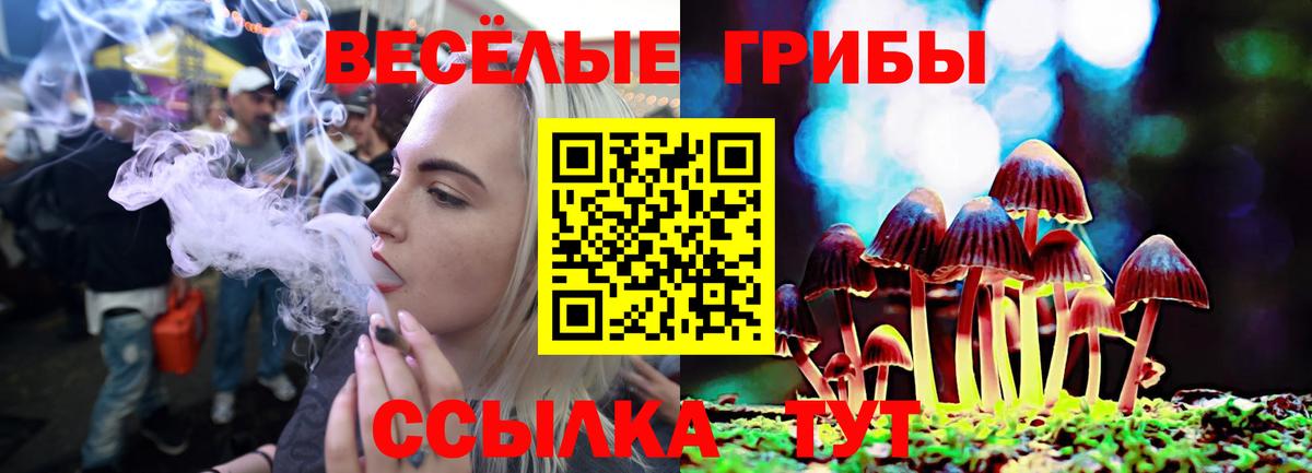 Псилоцибиновые грибы мицелий Феодосия